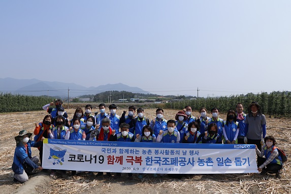 농촌 일손 돕기 봉사활동 사진